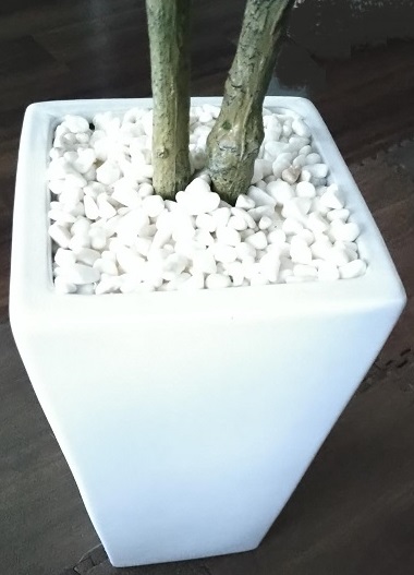 ドリス 人工観葉植物 カシワバゴムノキ